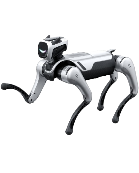 Quadruped robot dog demonstration Australia